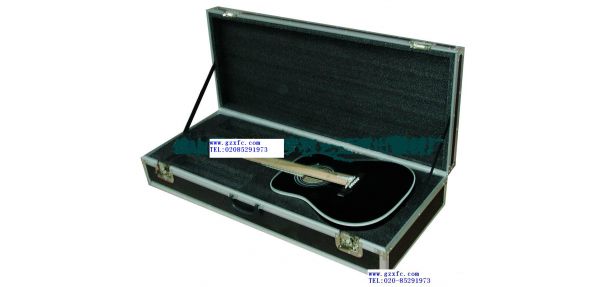 The guitar case